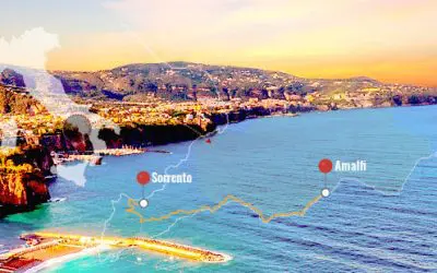 イー デザイン 保険 自動車