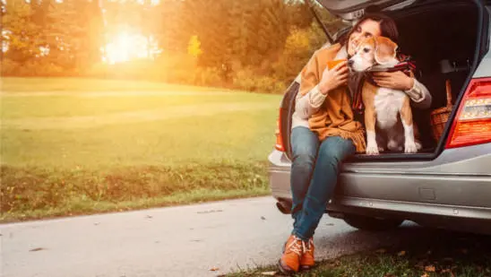 Come trasportare il cane in auto