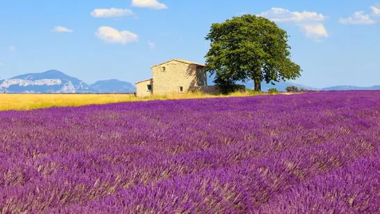 Viaggio in Provenza in auto